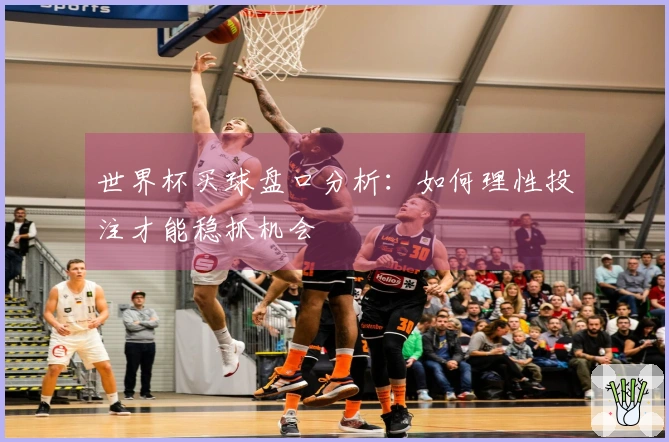 世界杯买球盘口分析：如何理性投注才能稳抓机会