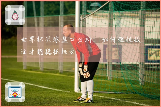世界杯买球盘口分析：如何理性投注才能稳抓机会