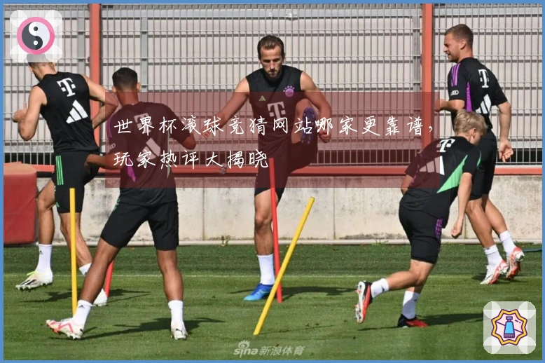 世界杯滚球竞猜网站哪家更靠谱，玩家热评大揭晓