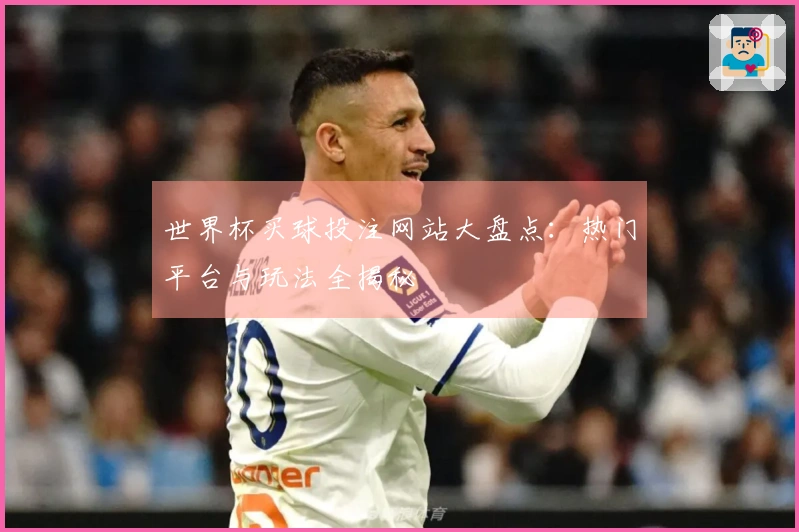 世界杯买球投注网站大盘点：热门平台与玩法全揭秘