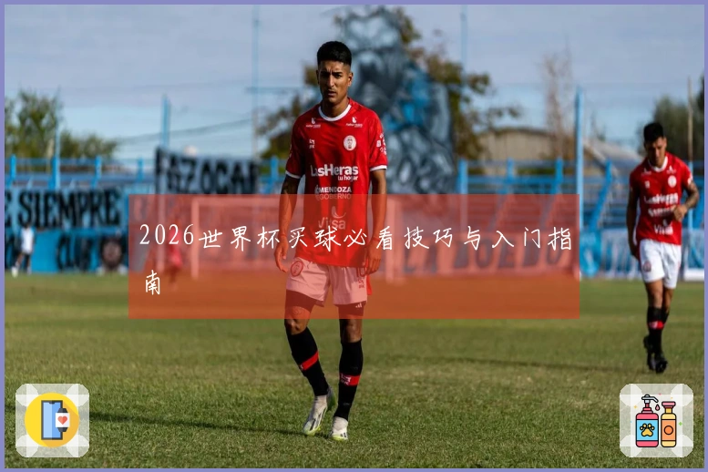 2026世界杯买球必看技巧与入门指南