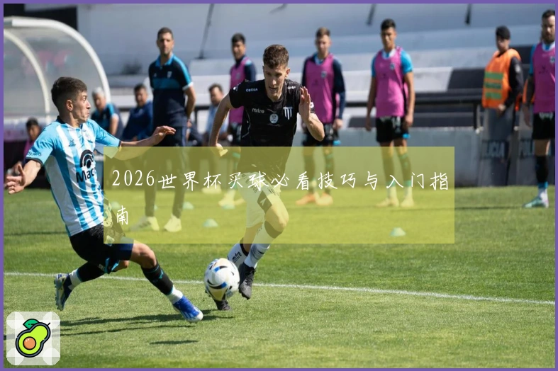 2026世界杯买球必看技巧与入门指南