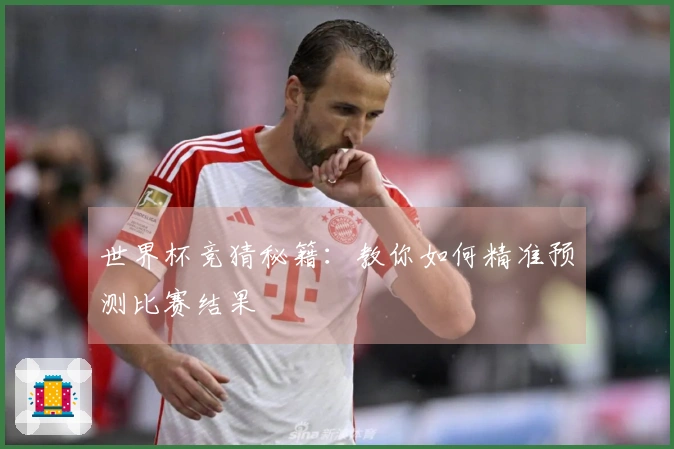 世界杯竞猜秘籍：教你如何精准预测比赛结果