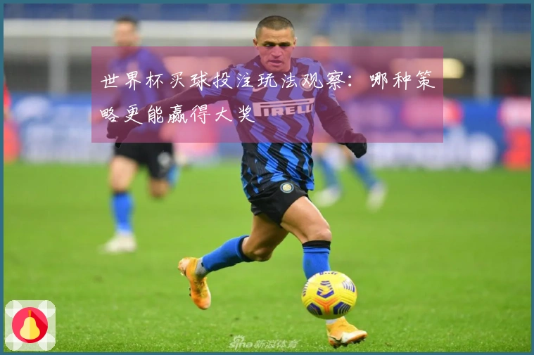 世界杯买球投注玩法观察：哪种策略更能赢得大奖