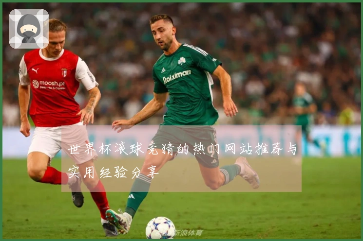 世界杯滚球竞猜的热门网站推荐与实用经验分享