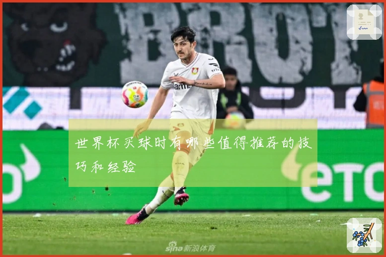 世界杯买球时有哪些值得推荐的技巧和经验