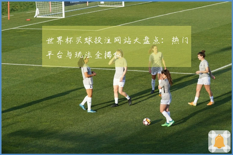 世界杯买球投注网站大盘点：热门平台与玩法全揭秘